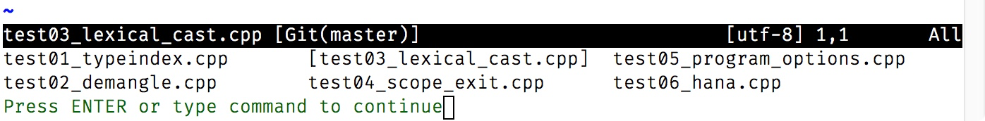 文件列表命令 :args 的结果 Fig5.5